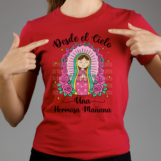 RTS Desde El Cielo Virgin Mary Shirt